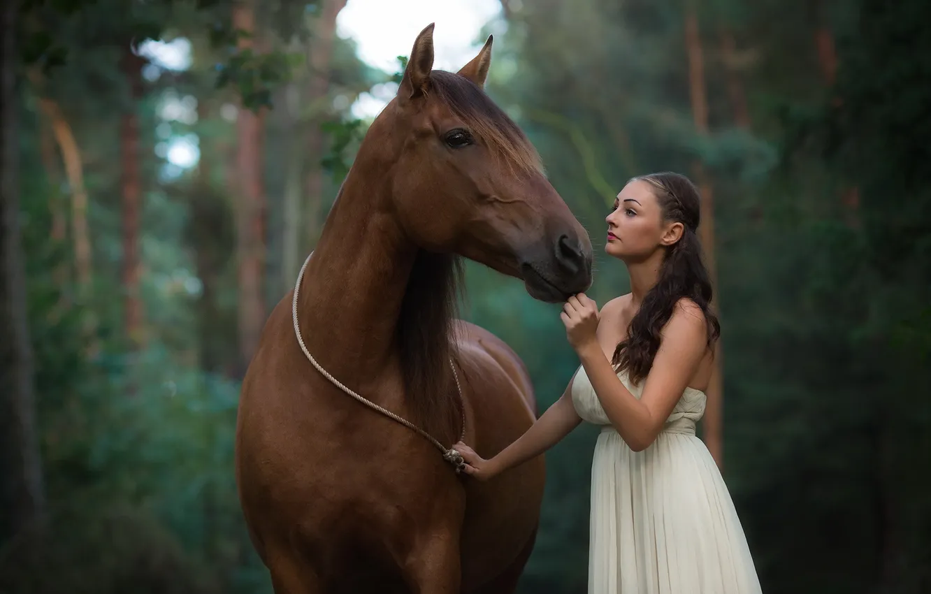 Photo wallpaper girl, nature, horse