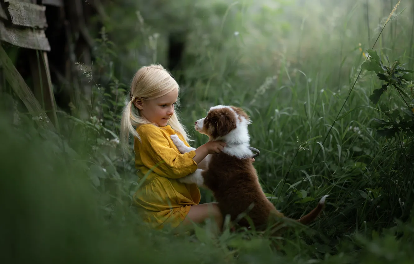 Photo wallpaper grass, dog, girl, puppy, friends