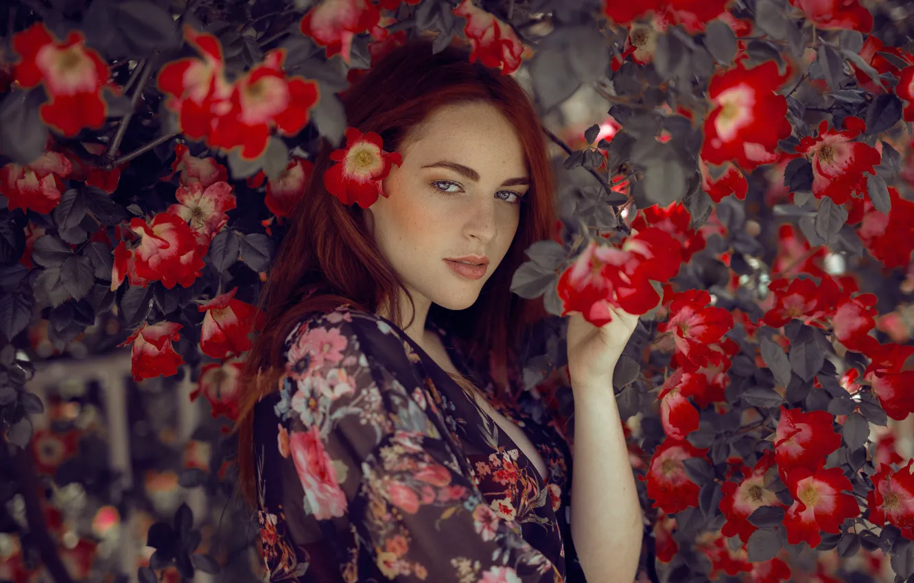Photo wallpaper look, girl, flowers, face, background, makeup, beauty