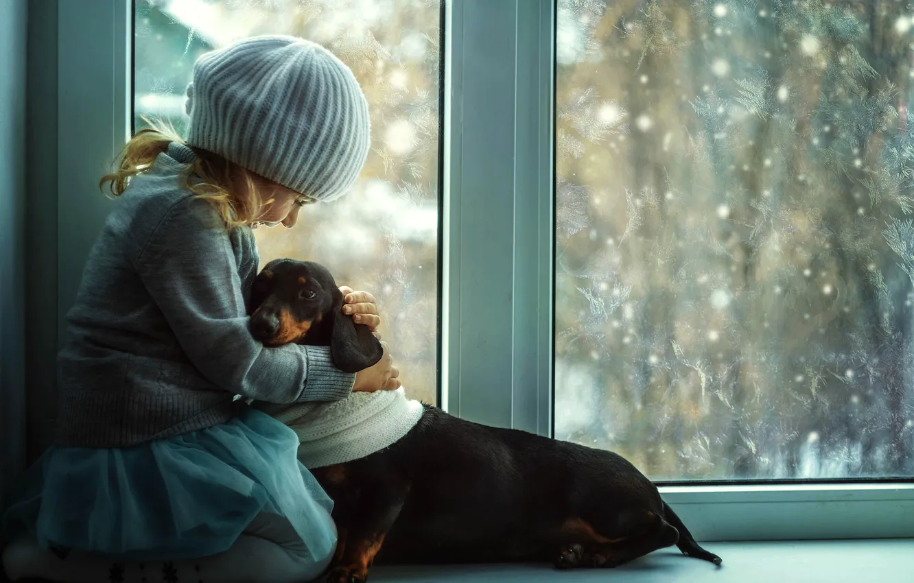 Photo wallpaper friendship, girl, Dachshund, sill