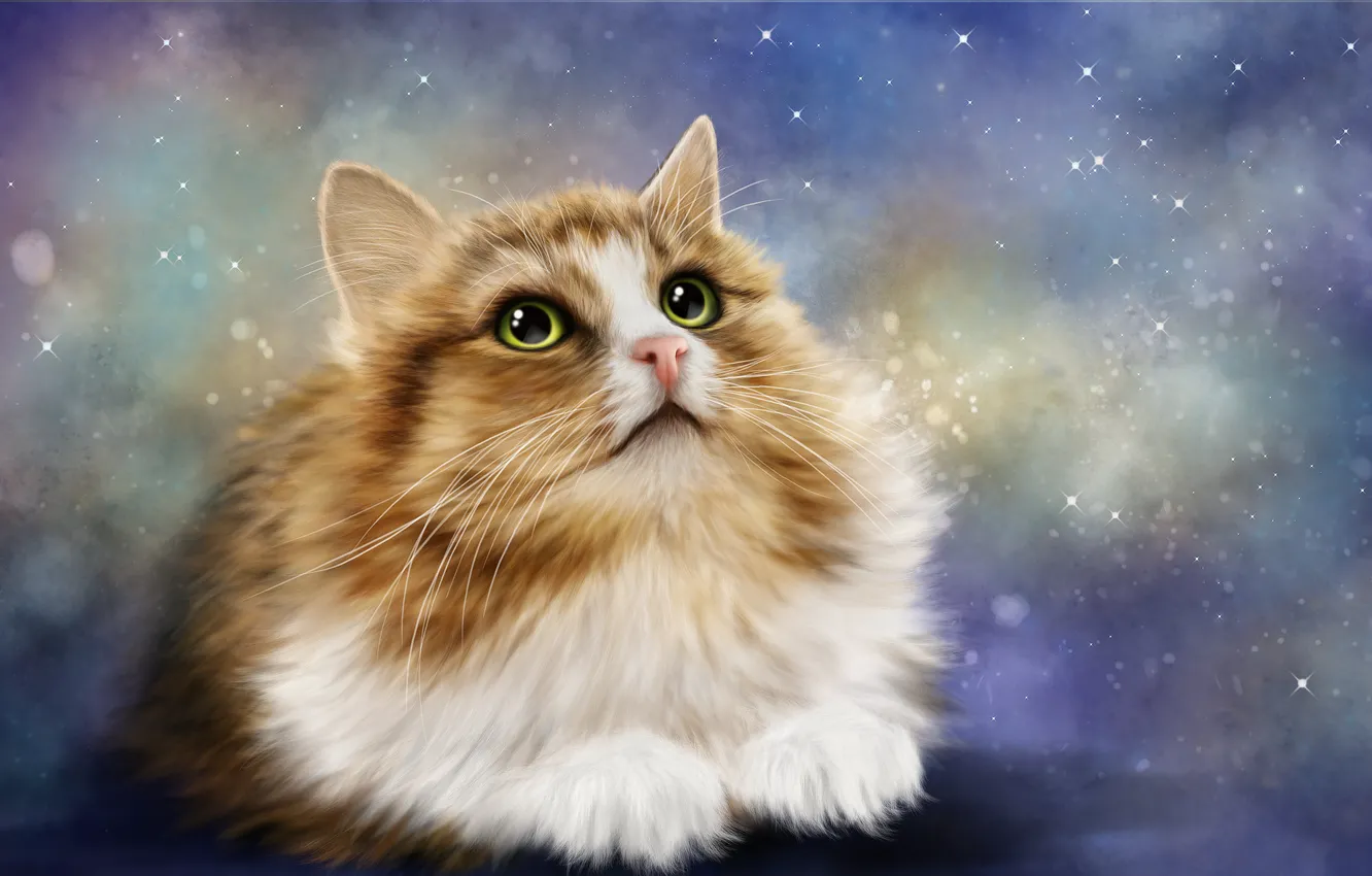 Photo wallpaper cat, cat, look, rendering, background, Kote