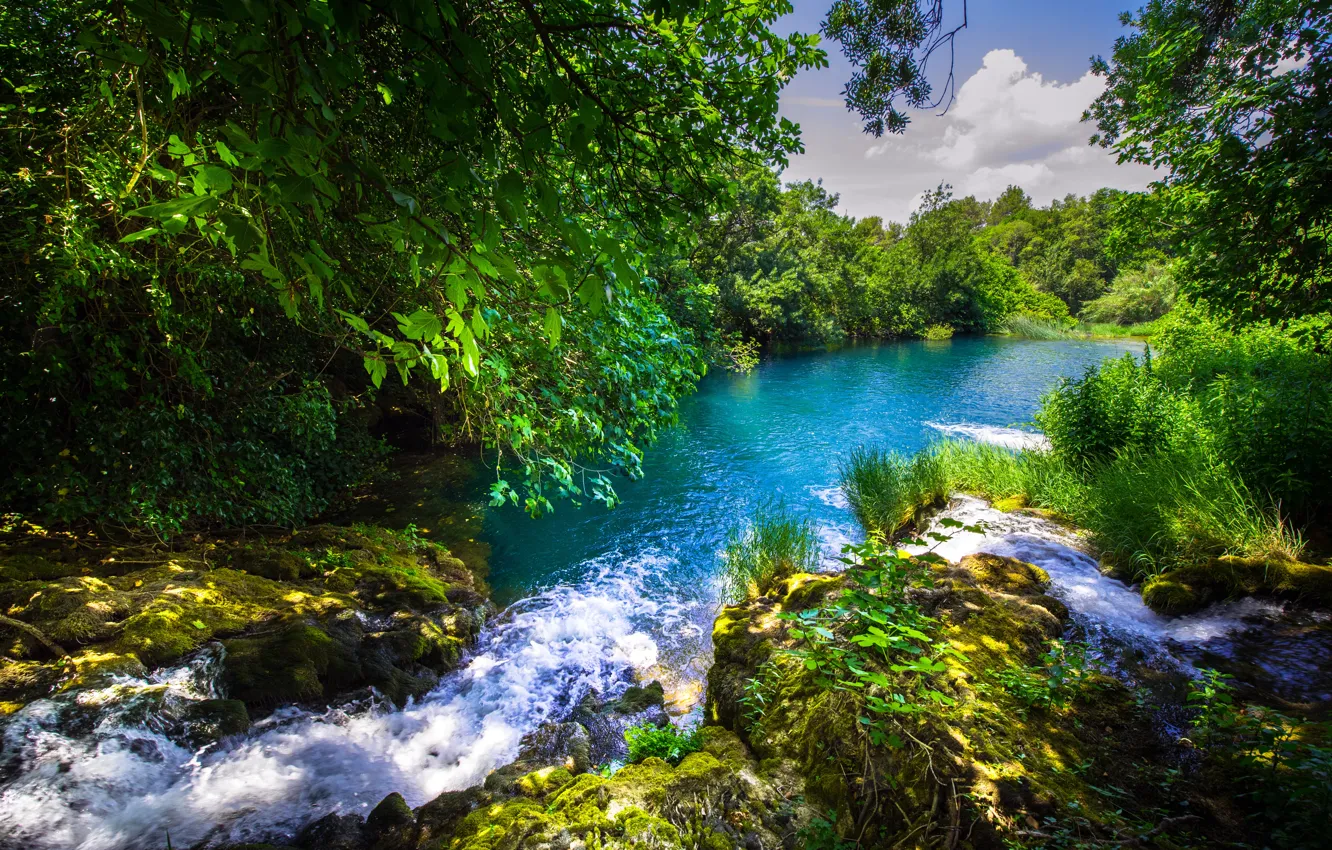 Photo wallpaper forest, river, Croatia, Croatia, Krka National Park, the river Krka, Krka River, Krka national Park
