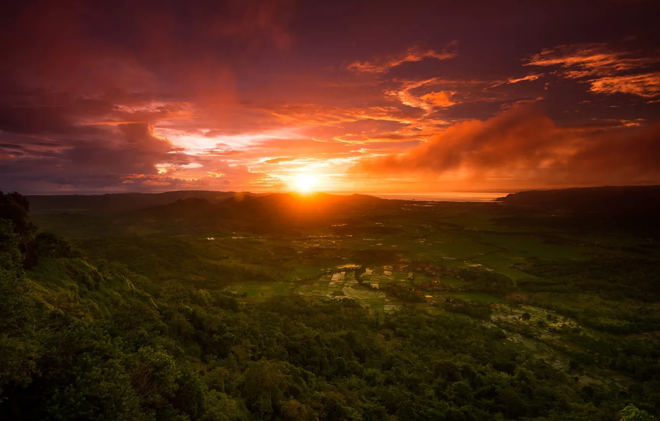 Photo wallpaper forest, summer, the sun, clouds, light, sunset, mountains, hills