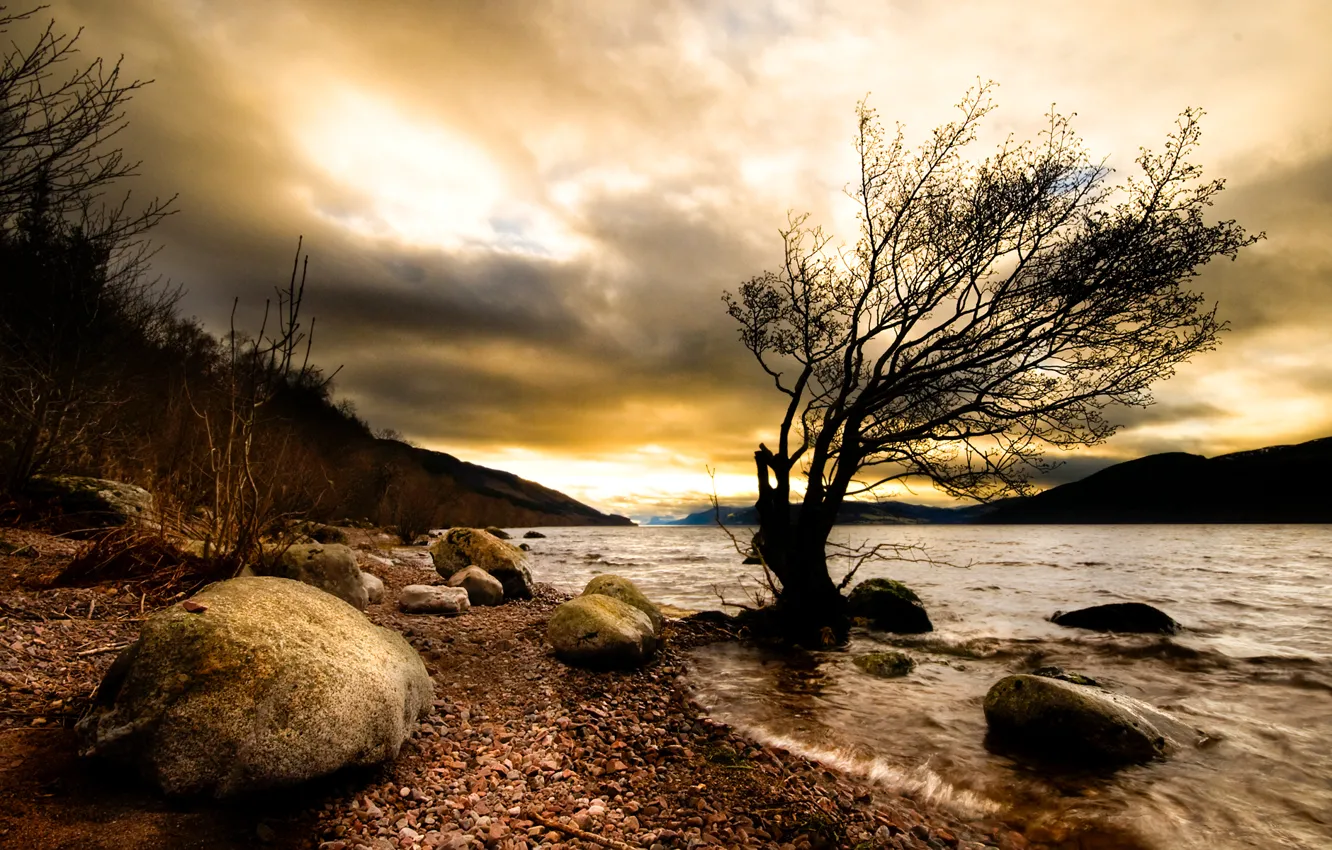 Photo wallpaper nature, river, stones, tree, the darkness