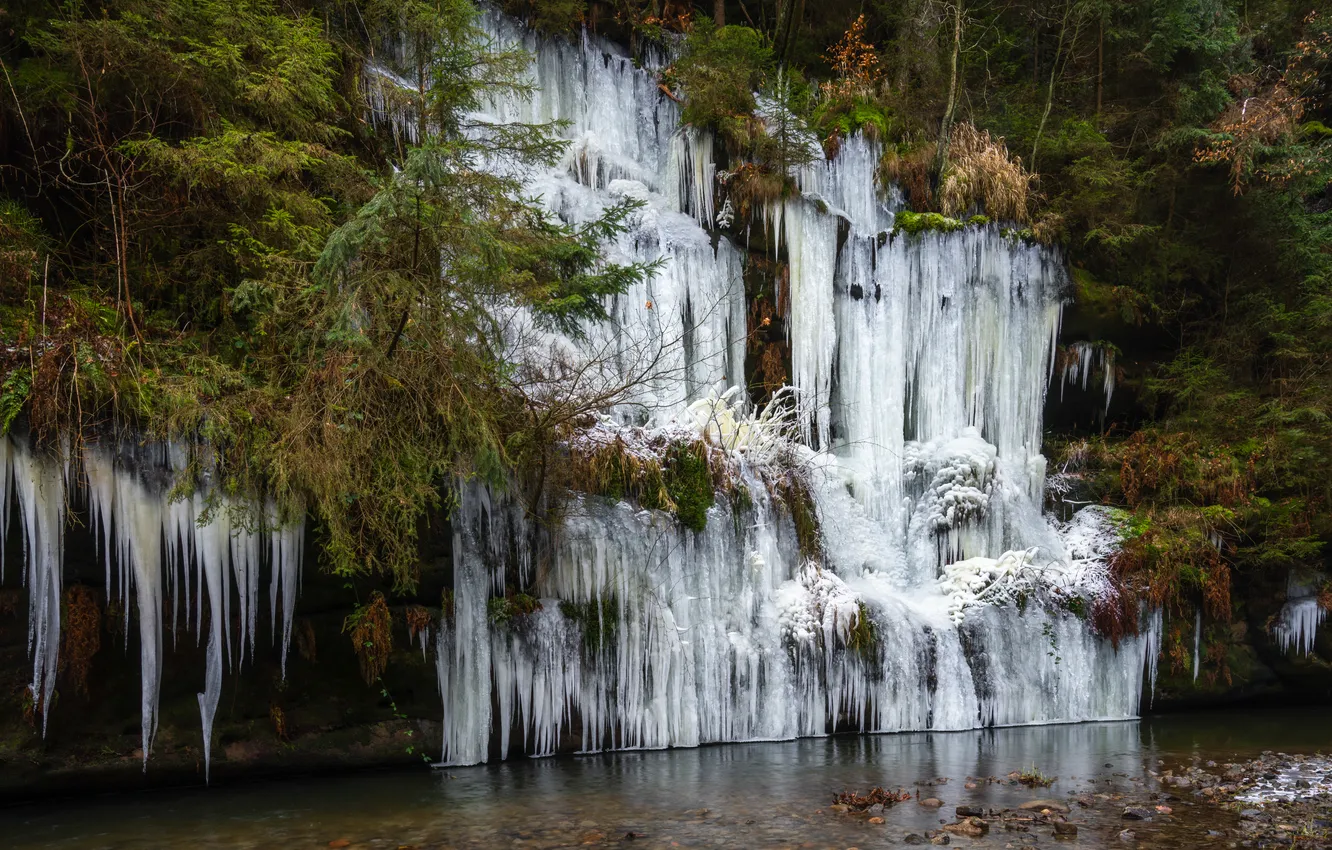 Photo wallpaper forest, nature, waterfall, icicles