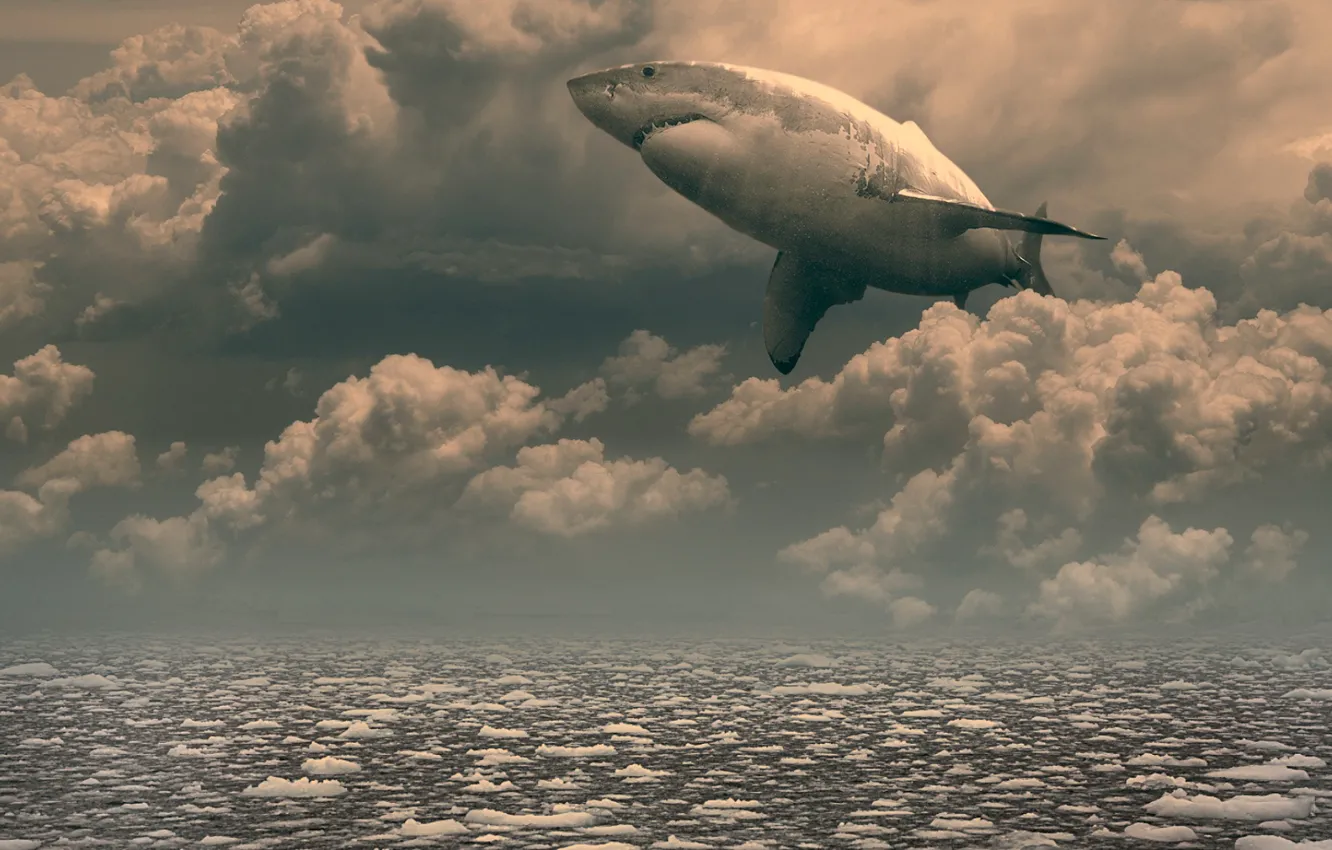 Photo wallpaper fantasy, art, a remake