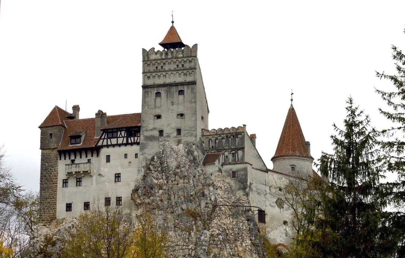 Photo wallpaper the sky, trees, Romania, Bran Castle, medieval architecture