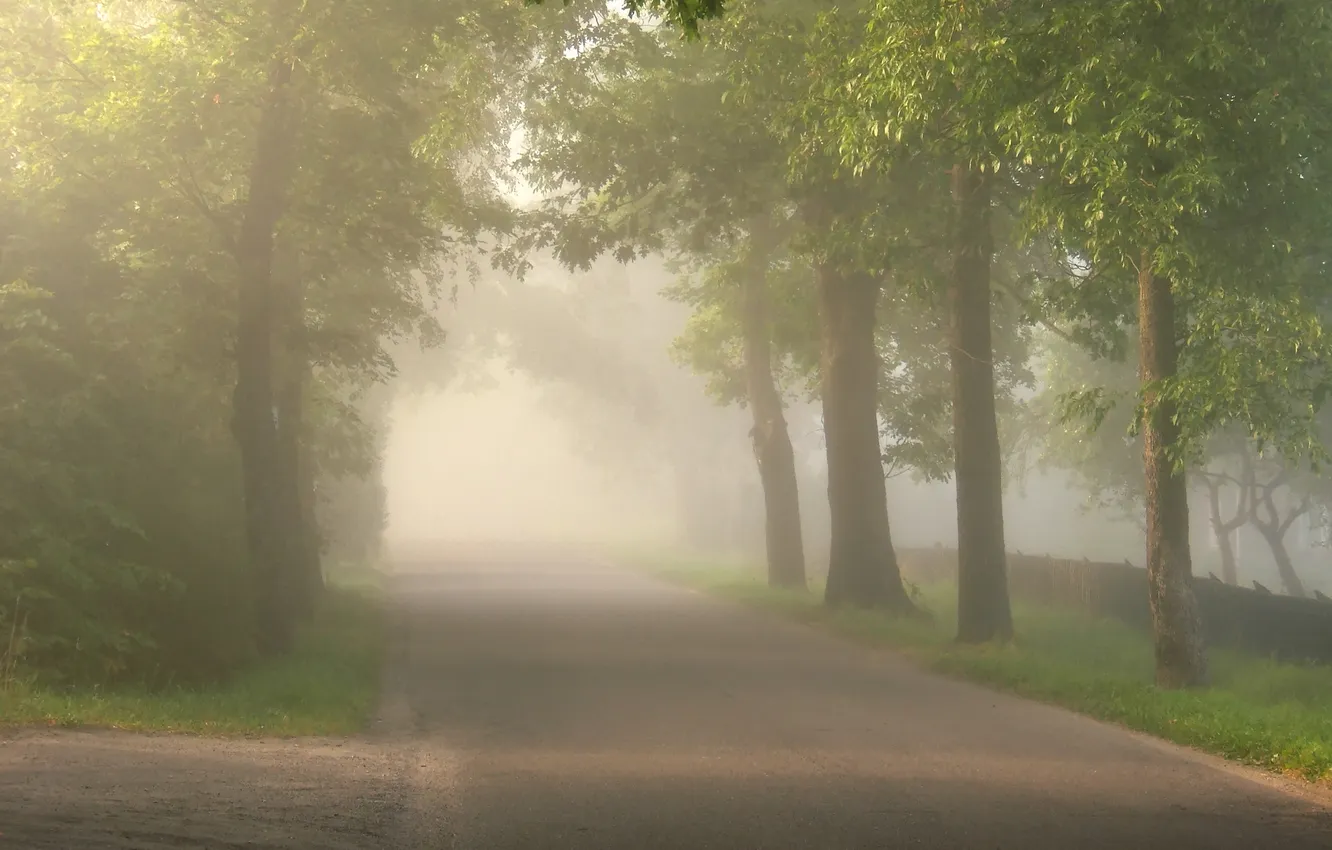 Photo wallpaper road, trees, landscape, nature, fog, photo, background Wallpapers for desktop, images 1920x1200