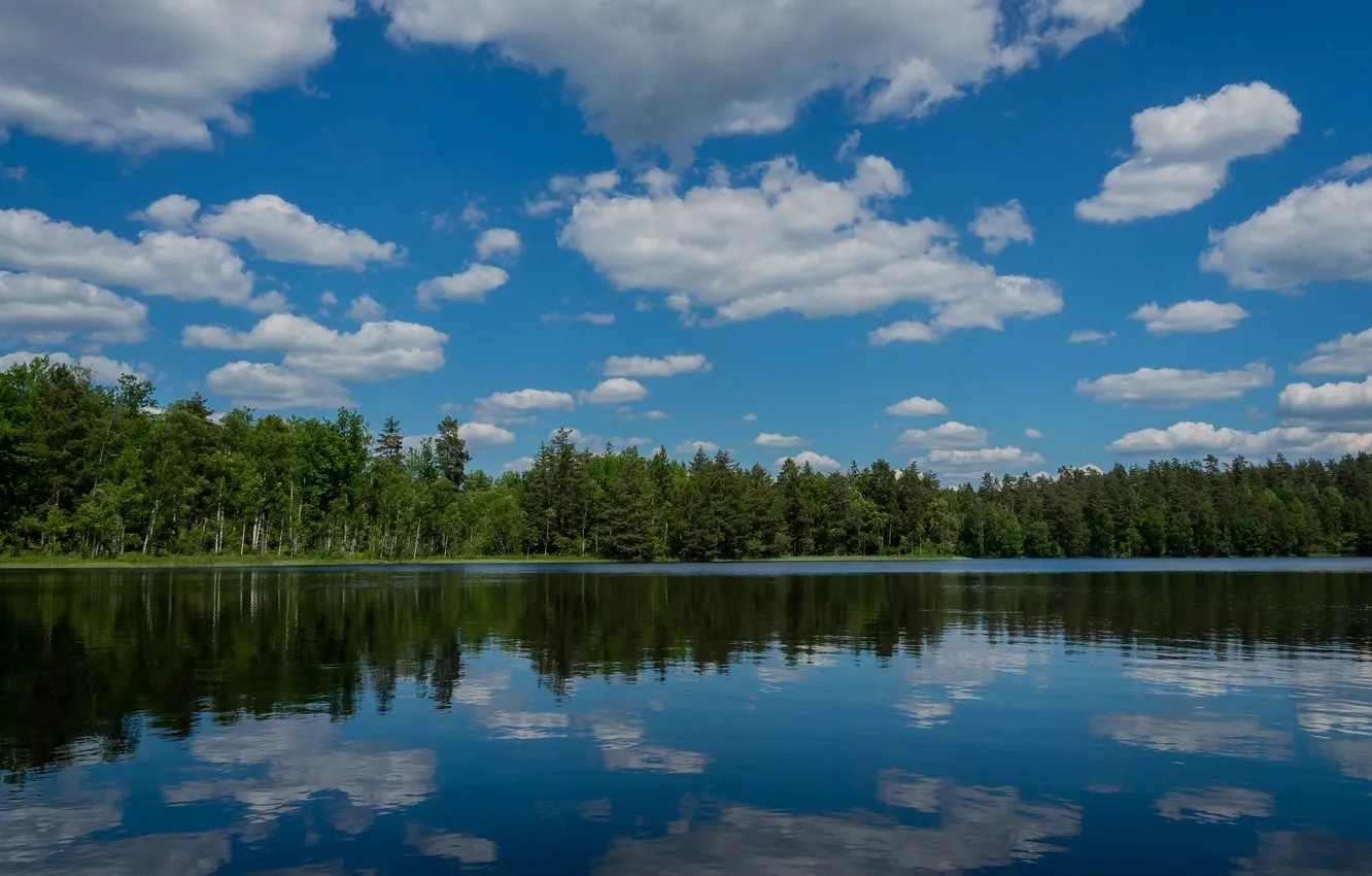Photo wallpaper forest, clouds, lake, reflection, Sweden, Sweden, Möljeryd