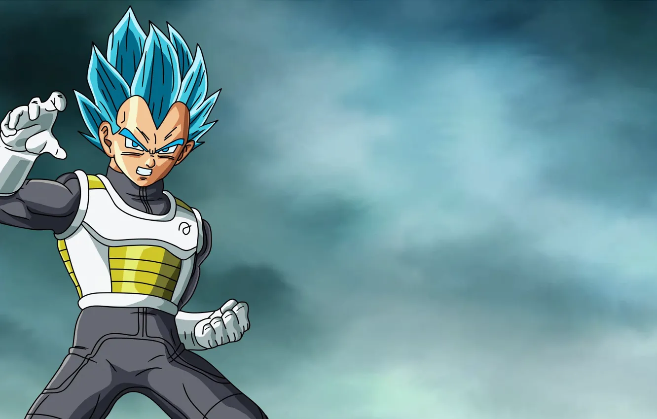 Photo wallpaper DBS, alien, anime, power, martial artist, warrior, manga, powerful