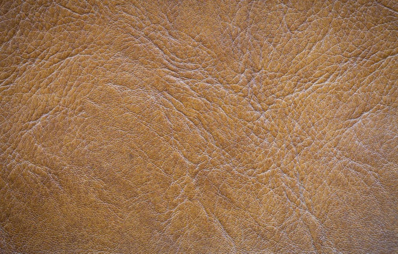 Photo wallpaper background, texture, leather, texture, brown, brown, background, leather