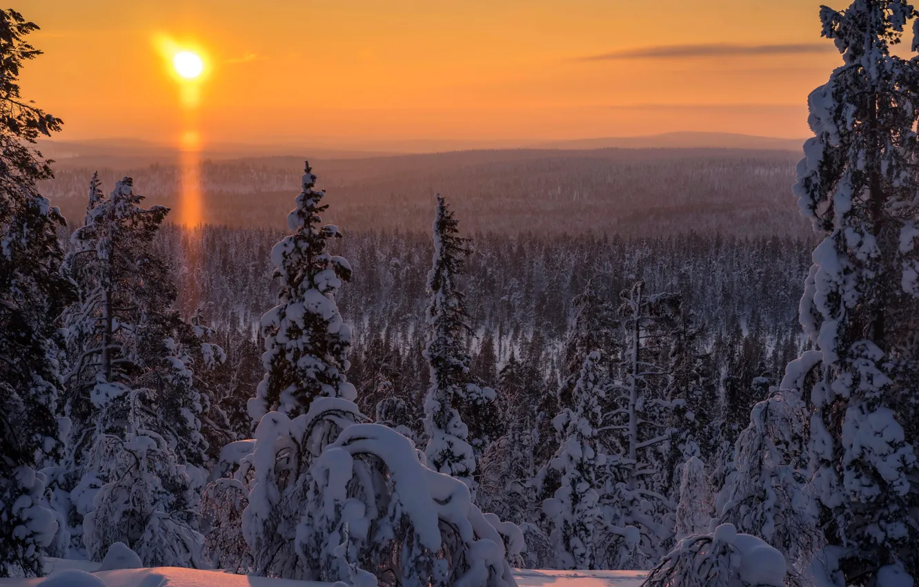 Photo wallpaper winter, forest, the sun, snow, trees, the snow, Finland, Lapland