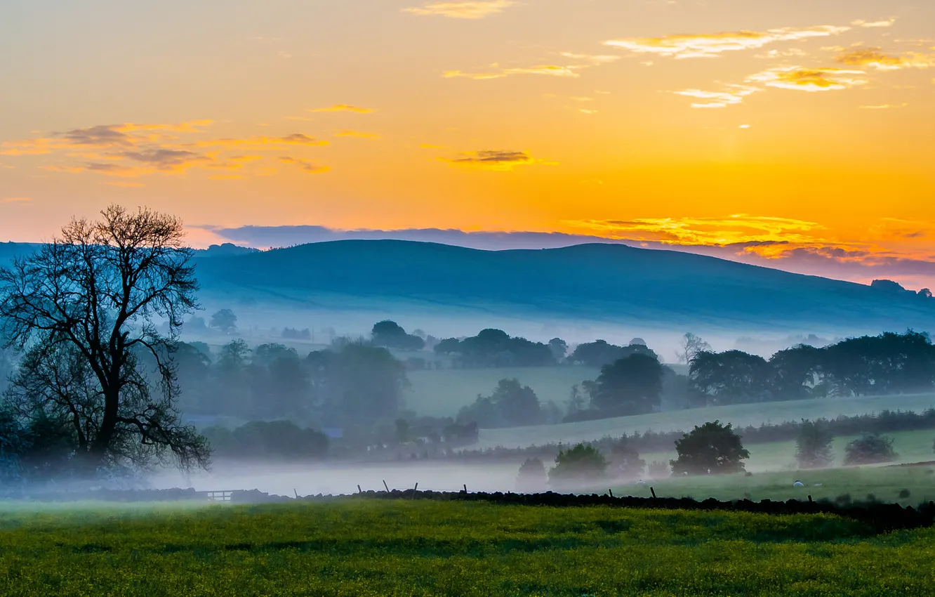Photo wallpaper field, the sky, trees, sunset, mountains, fog, hills