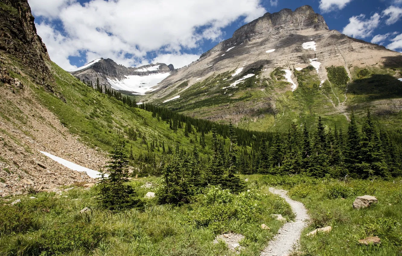 Photo wallpaper forest, mountains, nature, path