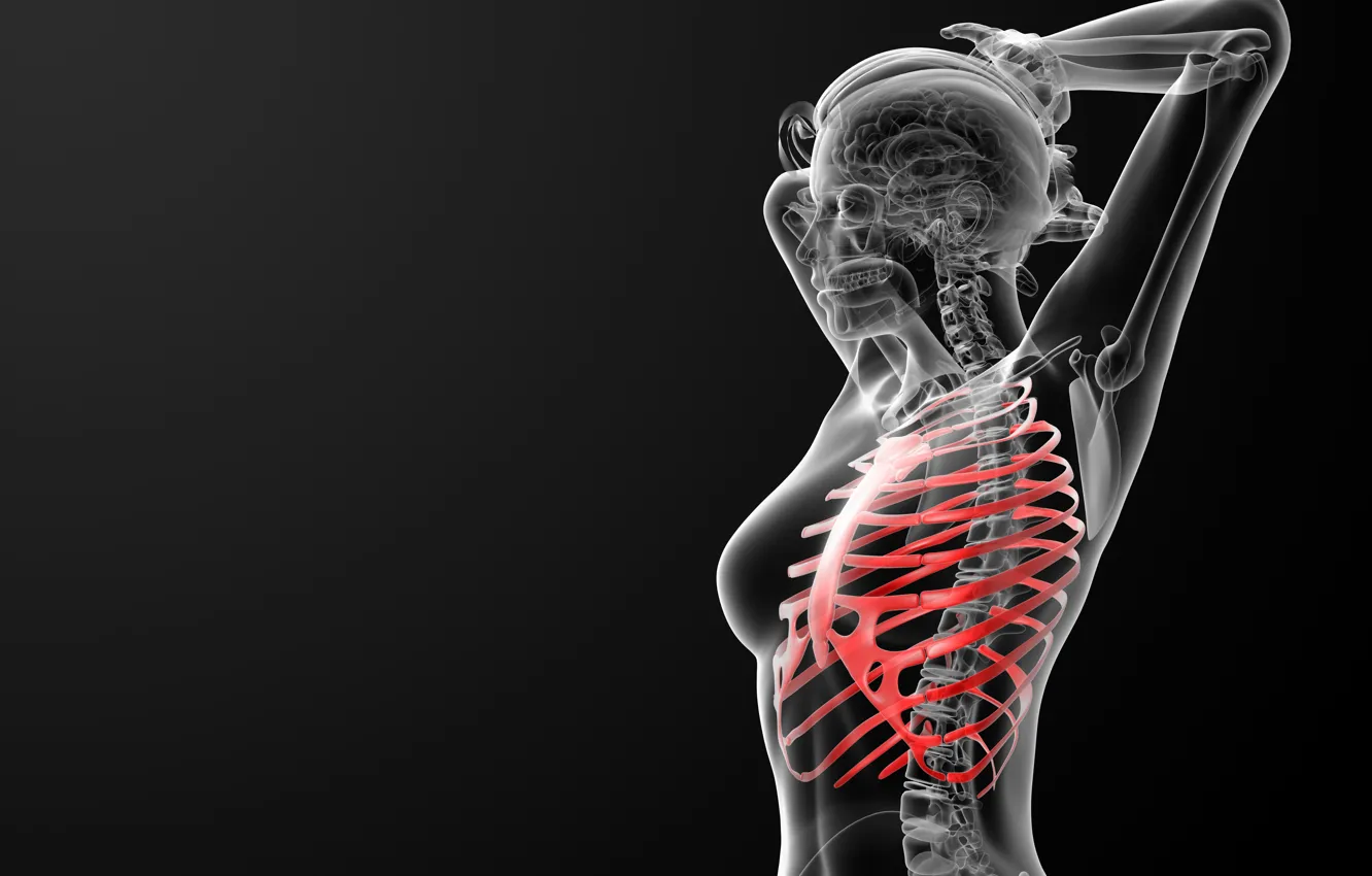 Photo wallpaper bones, ribs, human figure