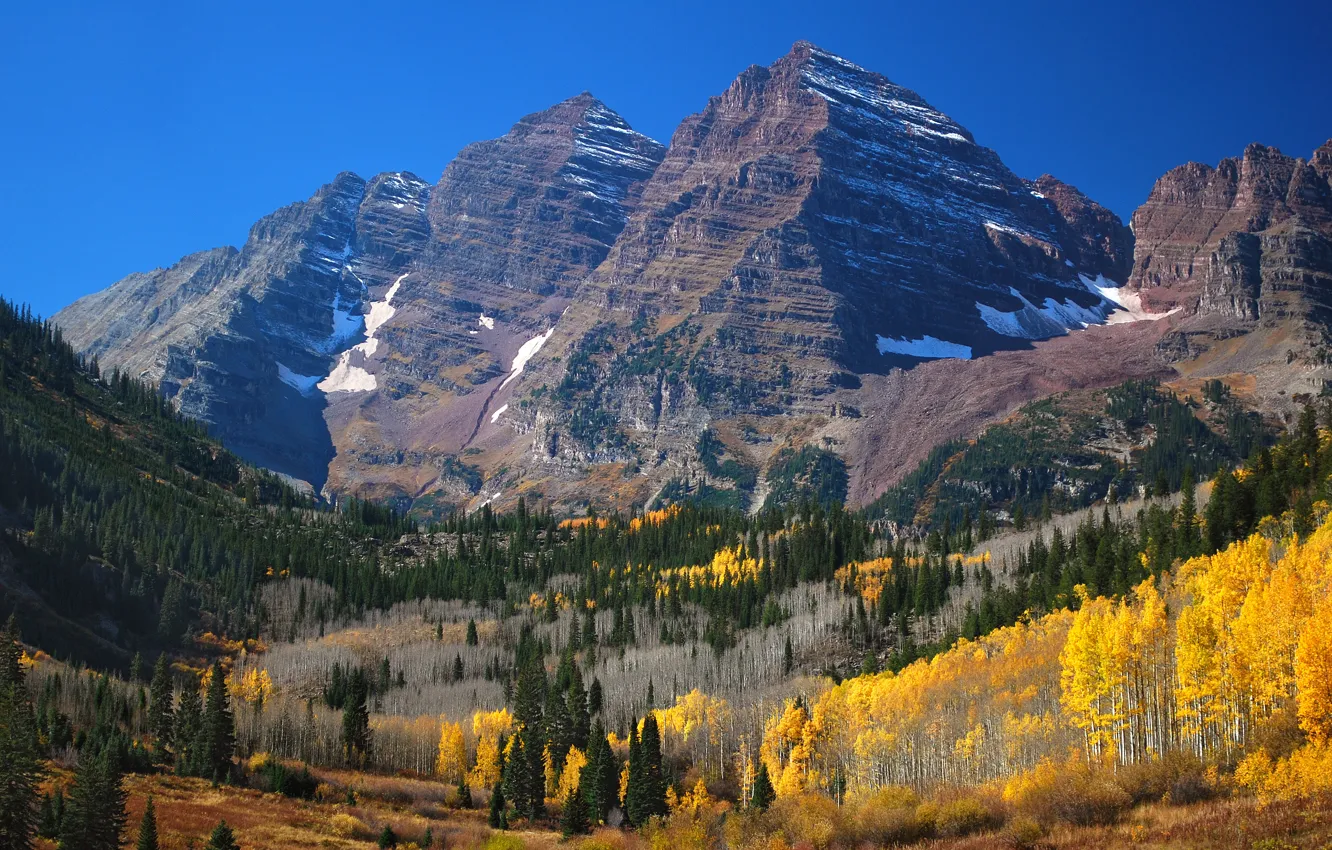 Photo wallpaper forest, mountains, tops, Colorado, Aspen