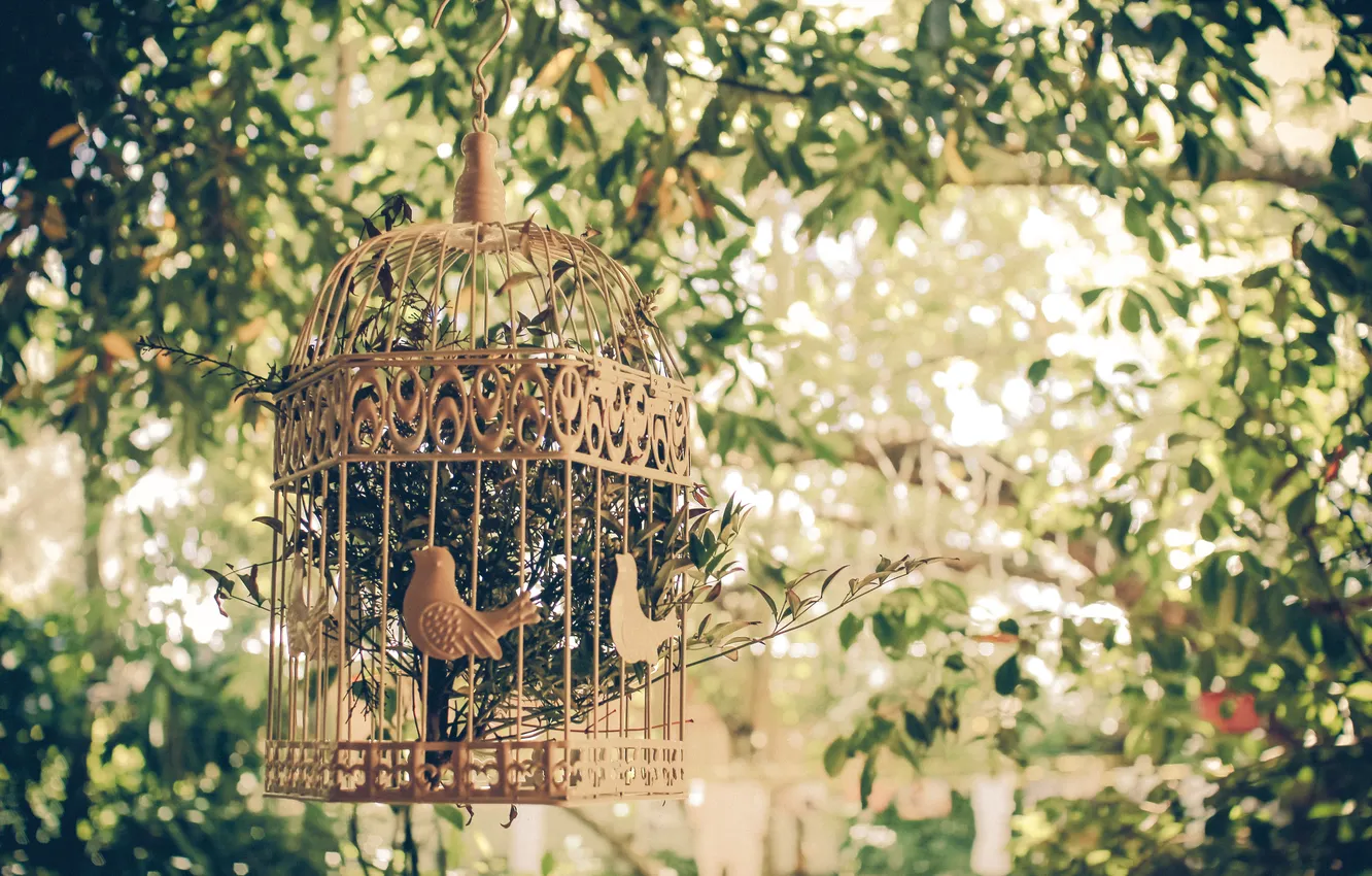 Photo wallpaper leaves, trees, cell