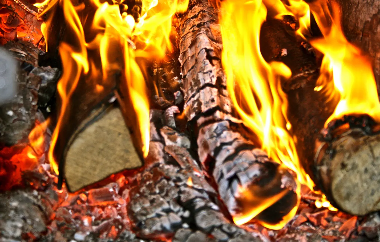 Photo wallpaper fire, wood, oven