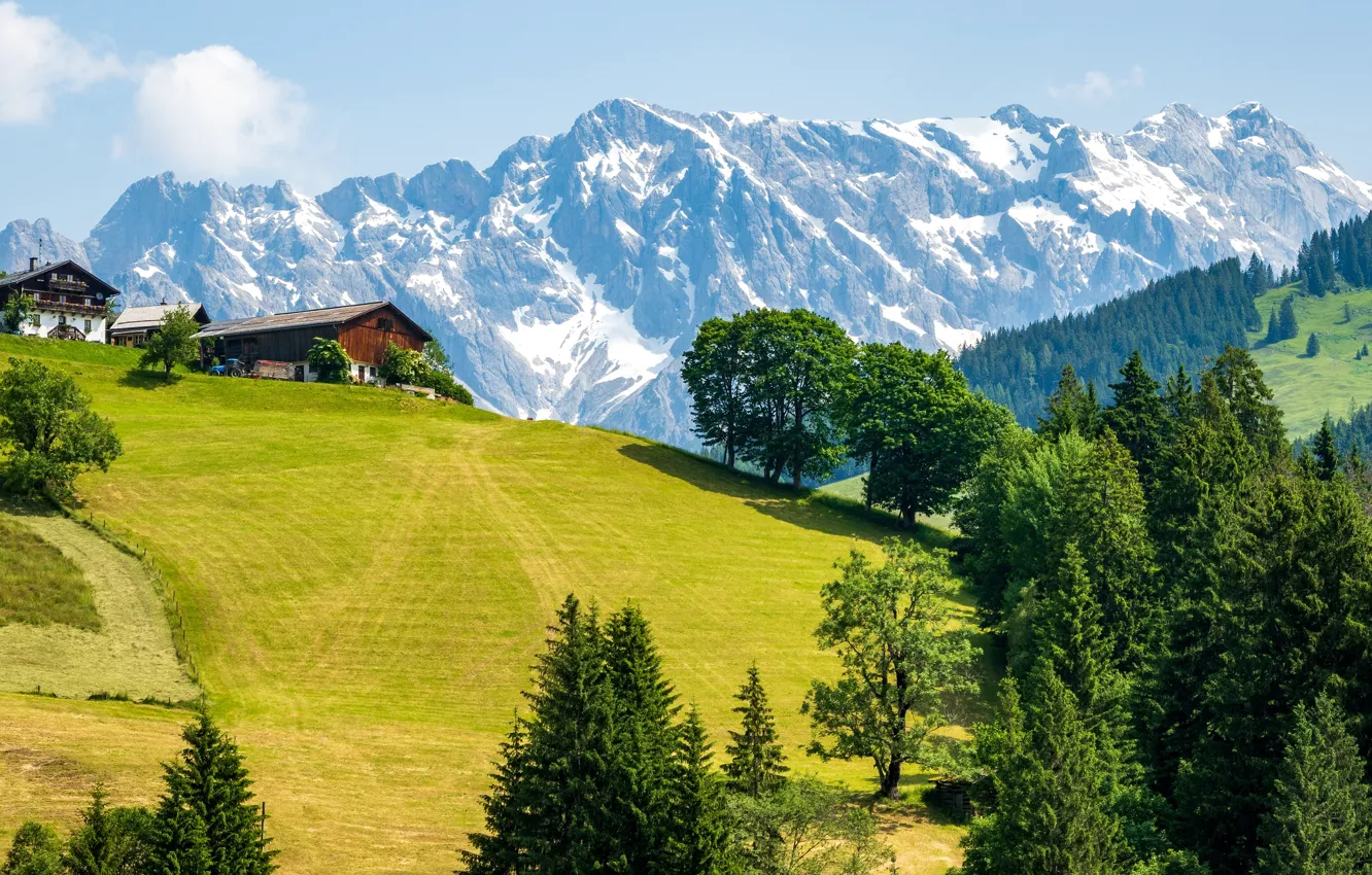 Photo wallpaper slope, mountains, hill, ate, haze, house, rocks, forest