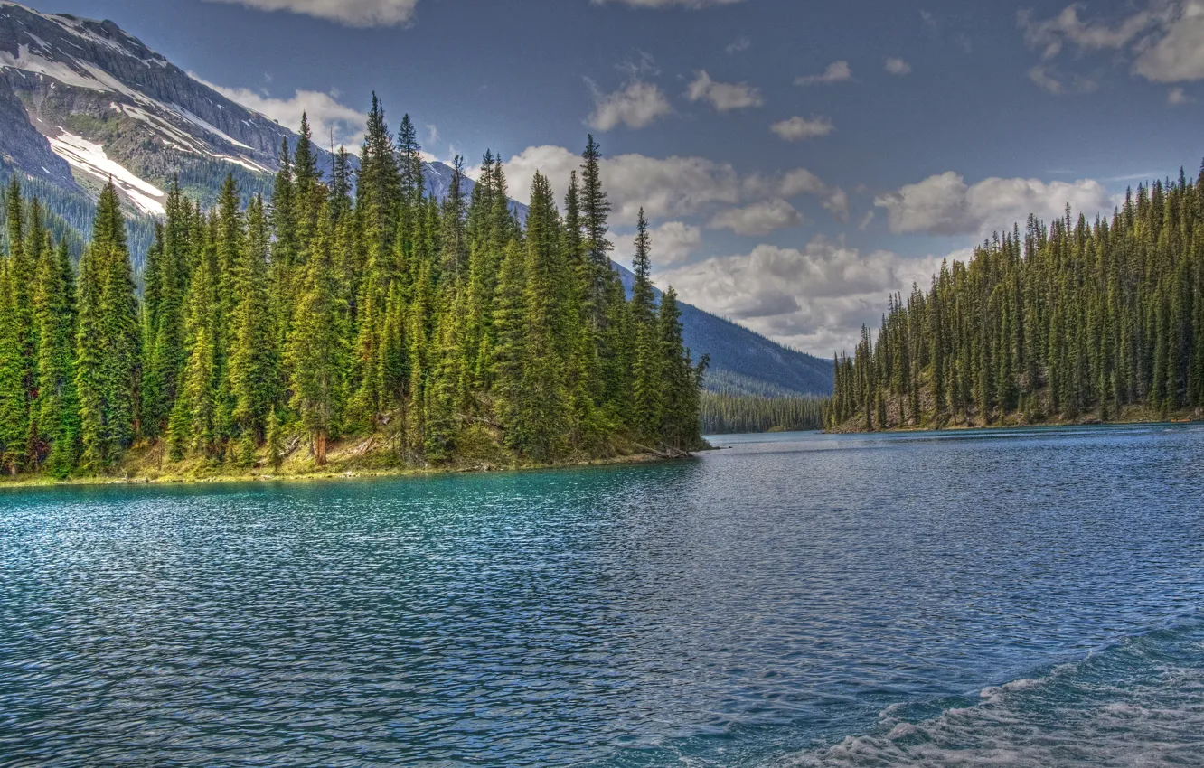 Photo wallpaper forest, trees, mountains, lake, Canada, Jasper, Jasper national Park, Maligne Lake
