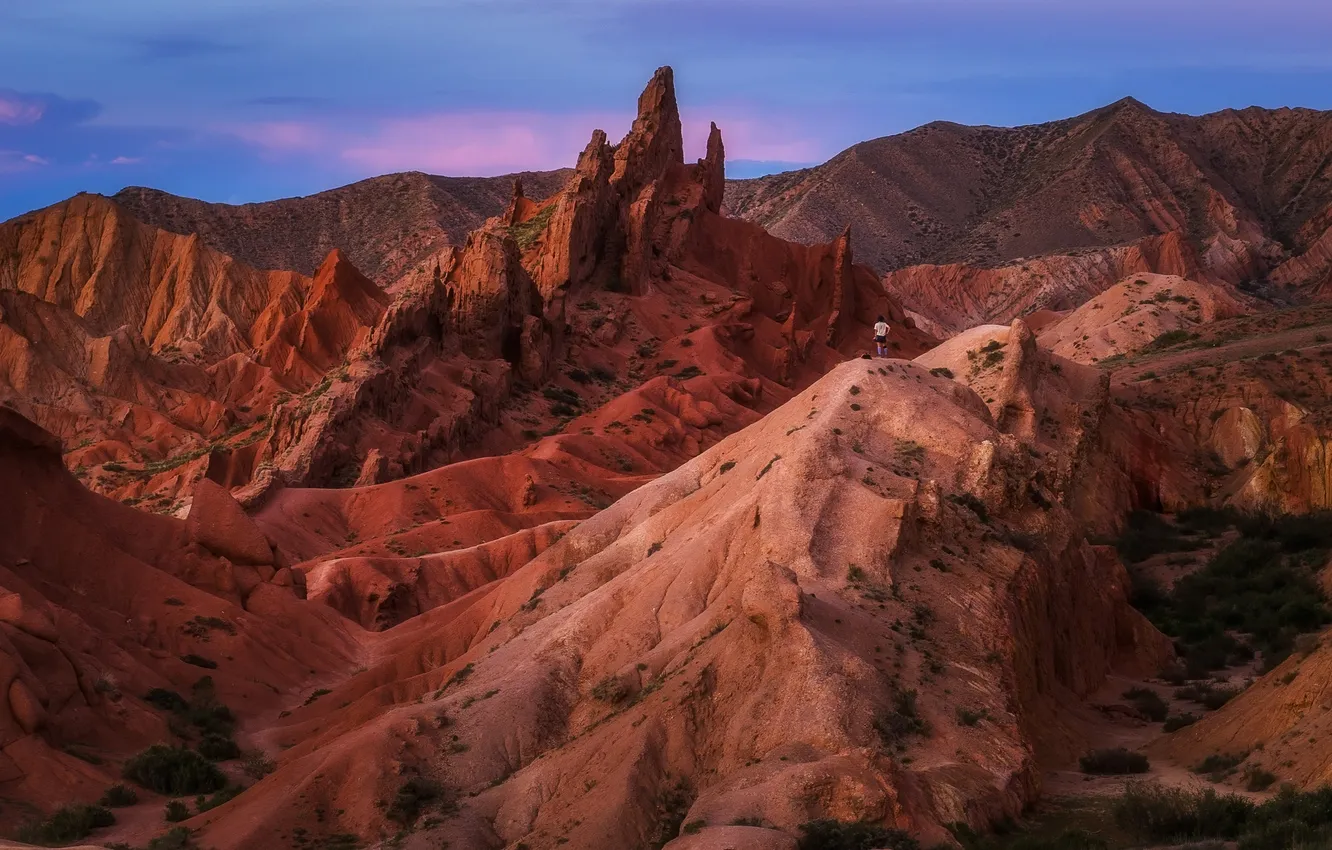 Photo wallpaper the sky, rocks, vegetation, beauty, horizon, mountain landscape, Mmezhin Sergey, Visiting a fairy tale