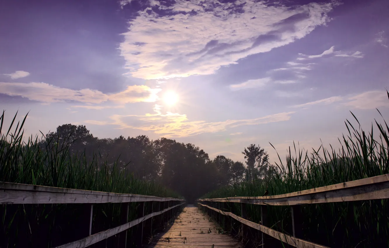 Photo wallpaper the sky, landscape, bridge, lake