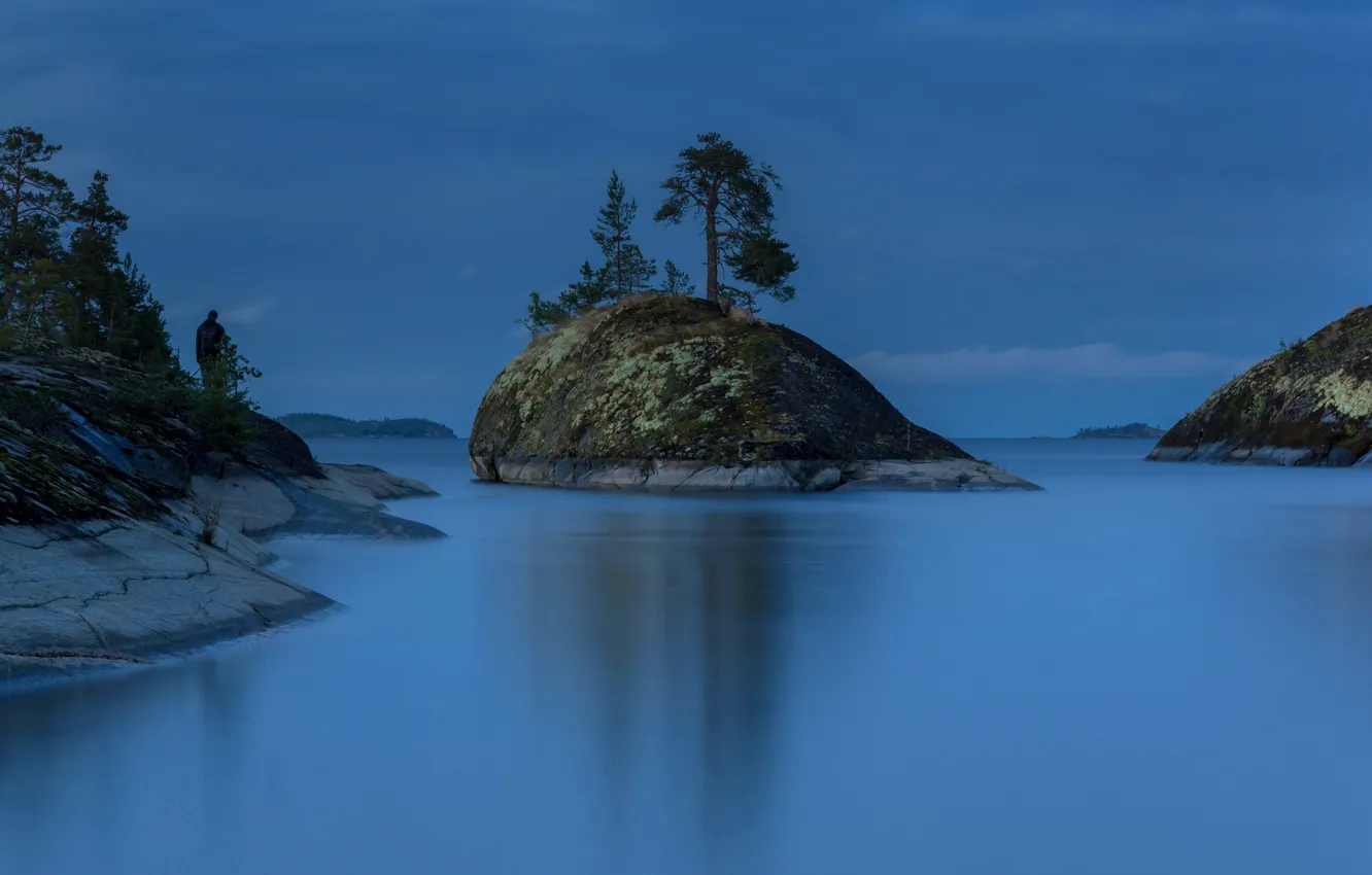 Photo wallpaper trees, landscape, nature, stones, Lake Ladoga, Karelia, Ladoga, white night