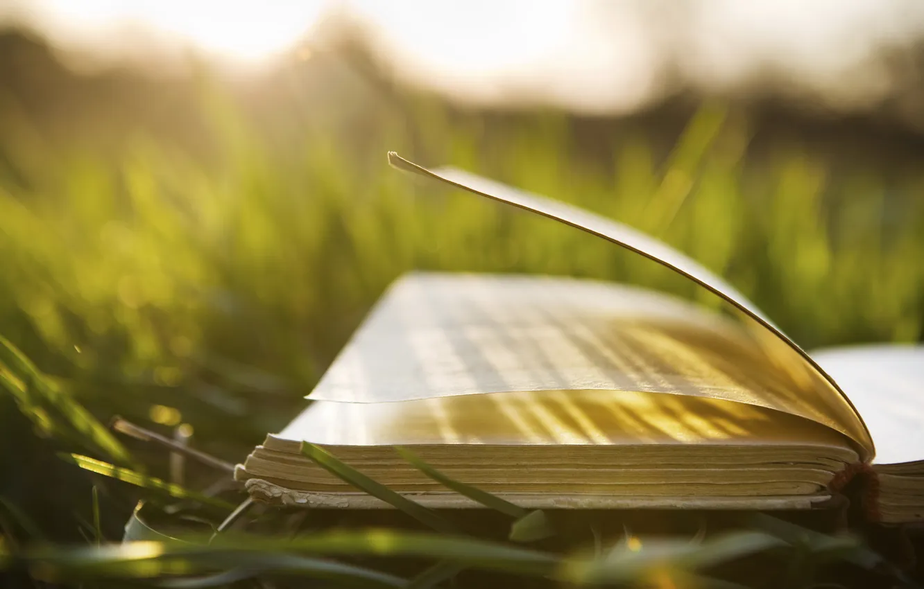 Photo wallpaper the sky, grass, landscape, sunset, nature, plant, book, the sun's rays