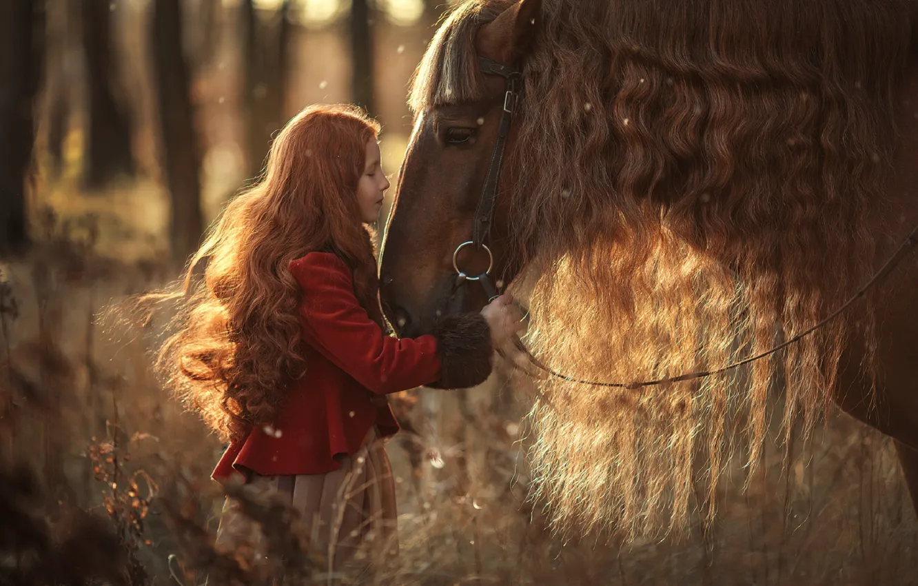 Photo wallpaper forest, nature, pose, photo, hair, horse, child, girl