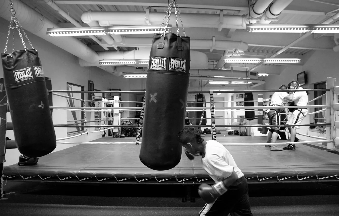 Photo wallpaper boxing, gym, training