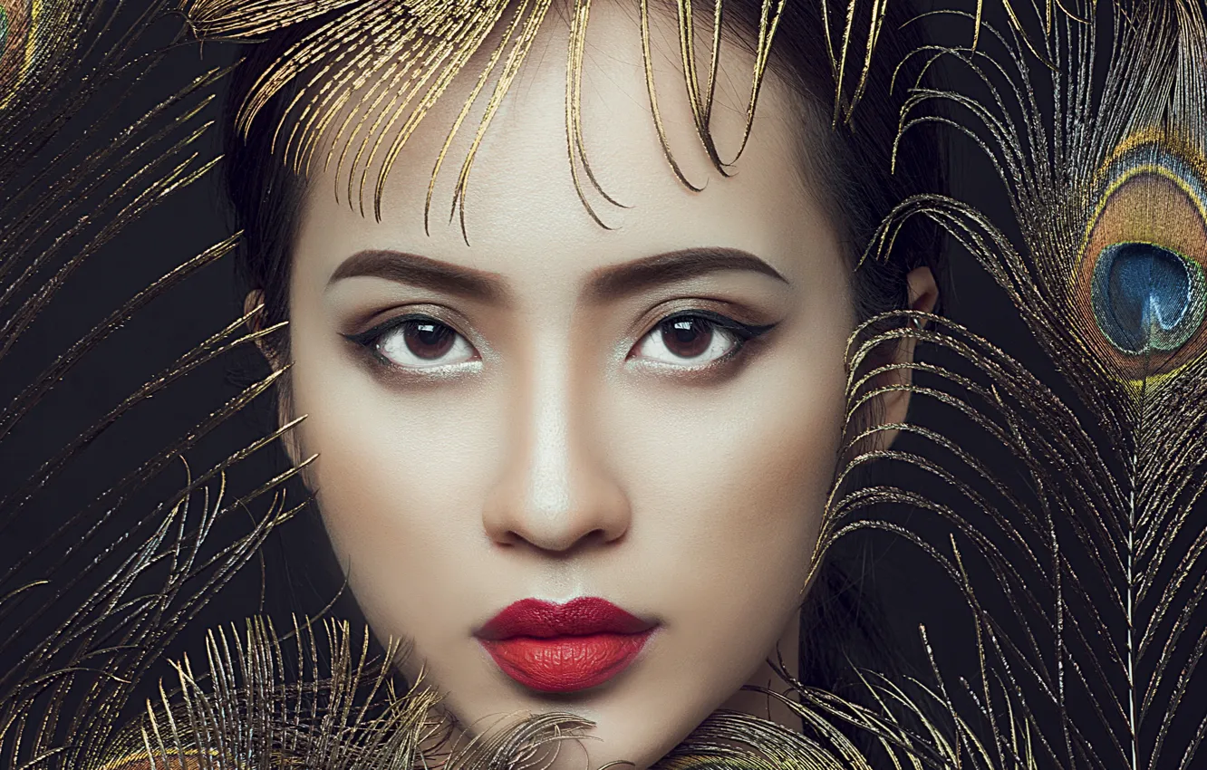 Photo wallpaper look, girl, face, feathers, makeup, lipstick, Asian, peacock feathers