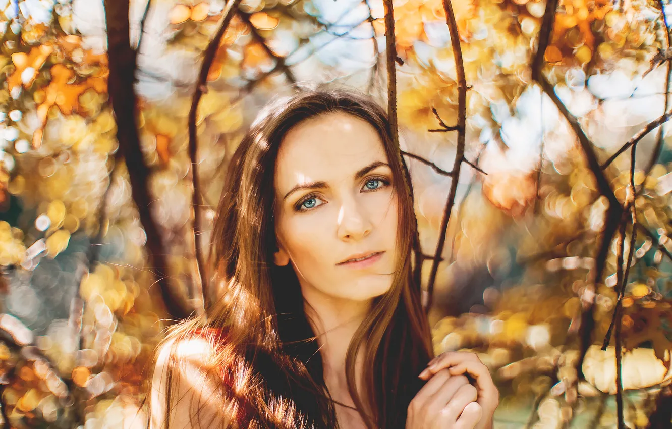Photo wallpaper autumn, look, girl, light, branches, nature, face, glare