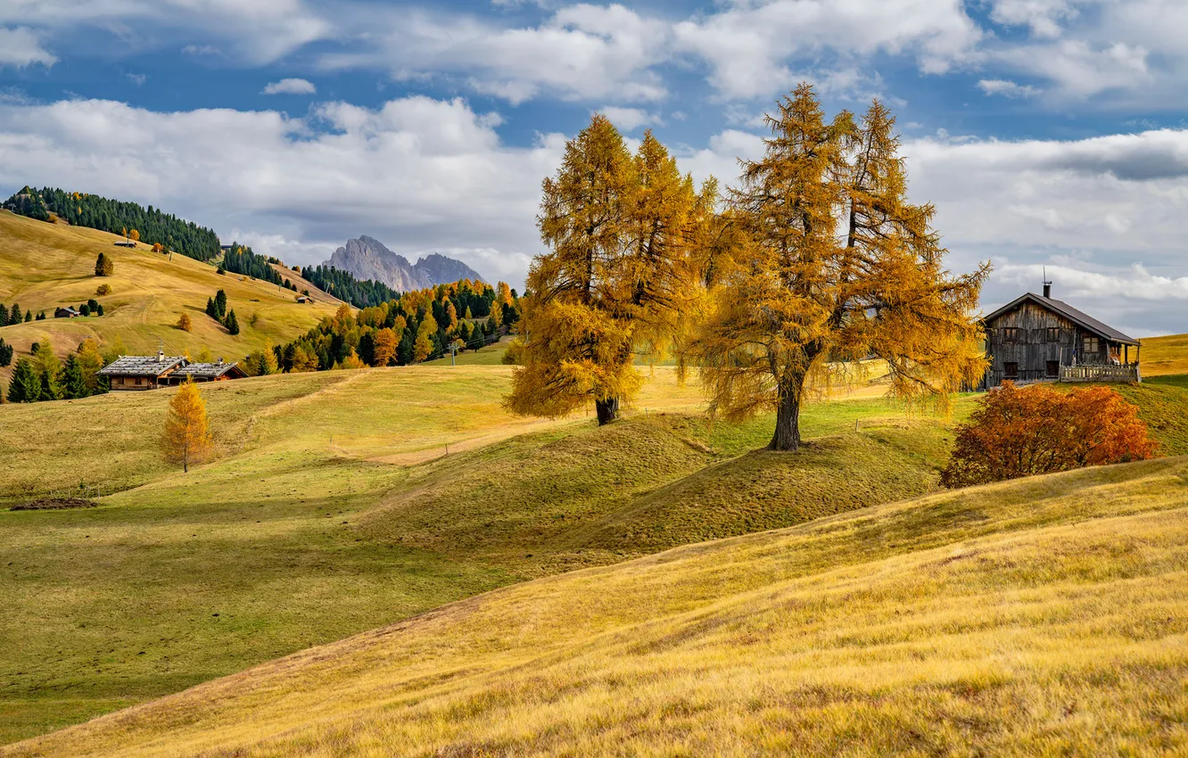 Photo wallpaper Home, Mountains, Autumn, Trees, Italy, Landscape, Dolomites