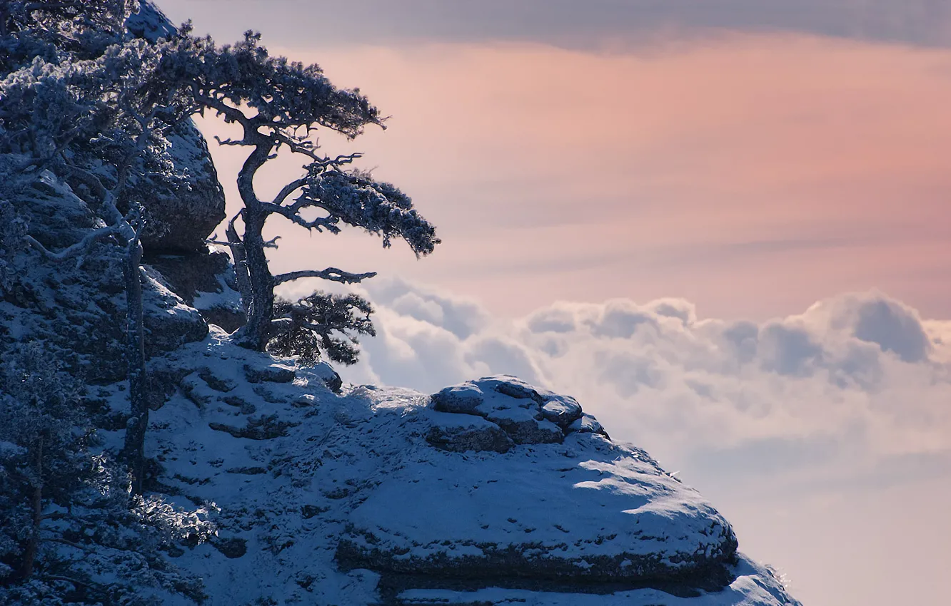 Photo wallpaper winter, clouds, snow, mountains, pine, Crimea