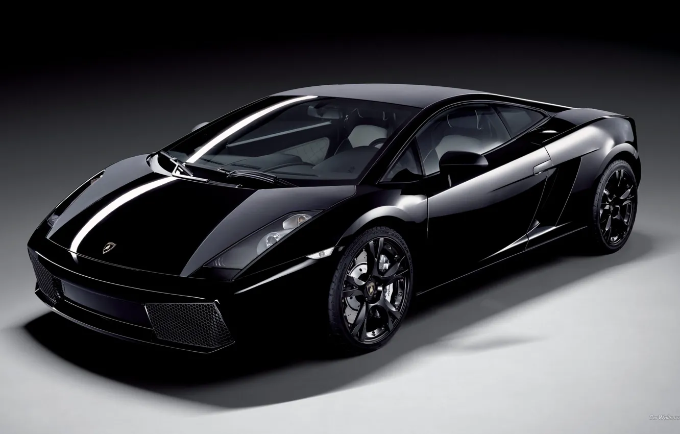 Photo wallpaper black, Lamborghini Gallardo Black