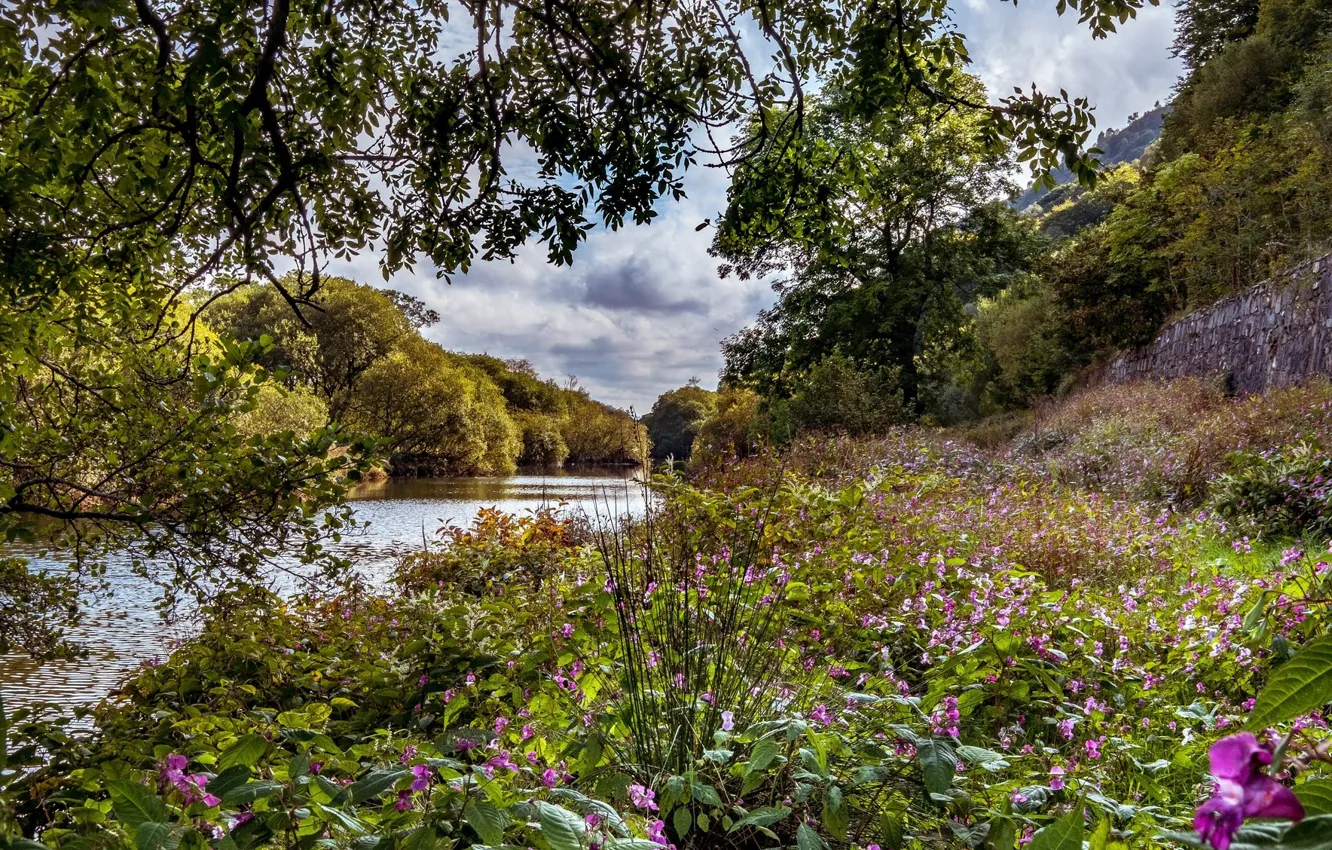 Photo wallpaper flowers, river, meadow
