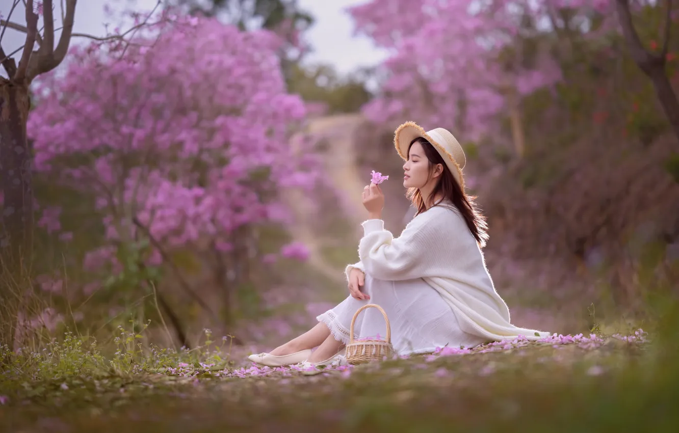 Photo wallpaper look, girl, nature, pose, Asian, Nick Vison