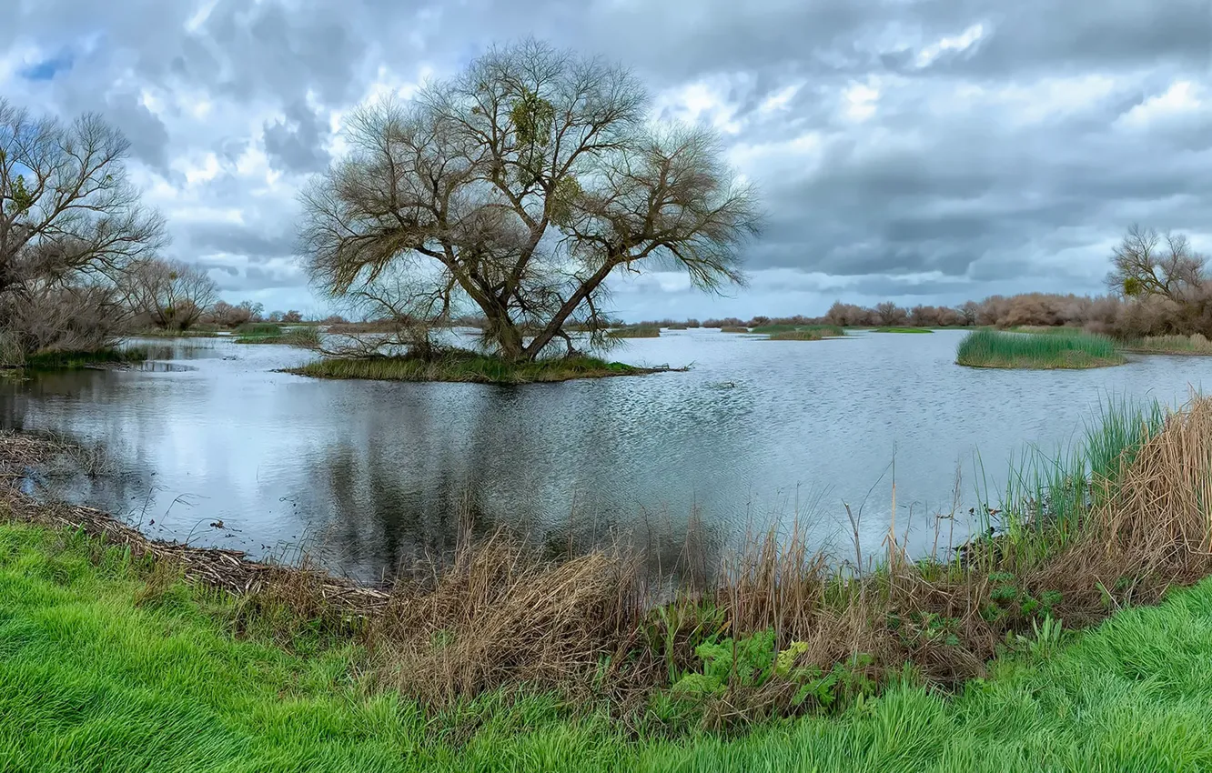 Photo wallpaper summer, nature, lake