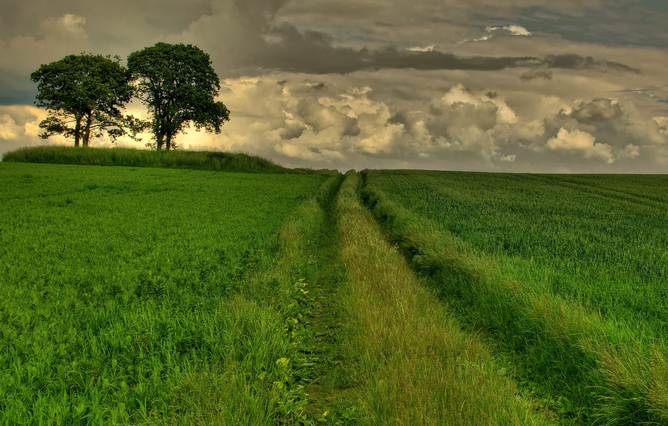 Photo wallpaper road, greens, field, summer, grass, clouds, trees, clouds