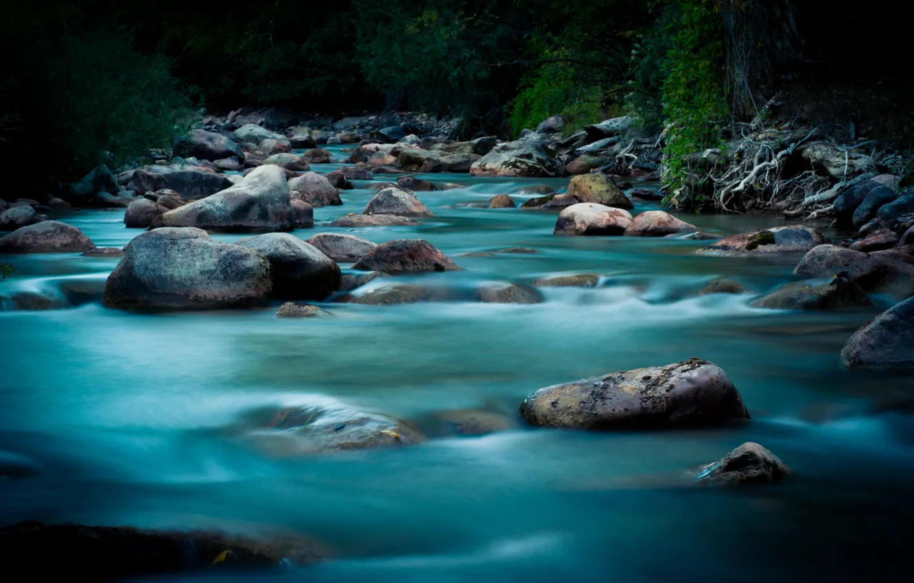 Photo wallpaper water, nature, river, for, river, nature, water