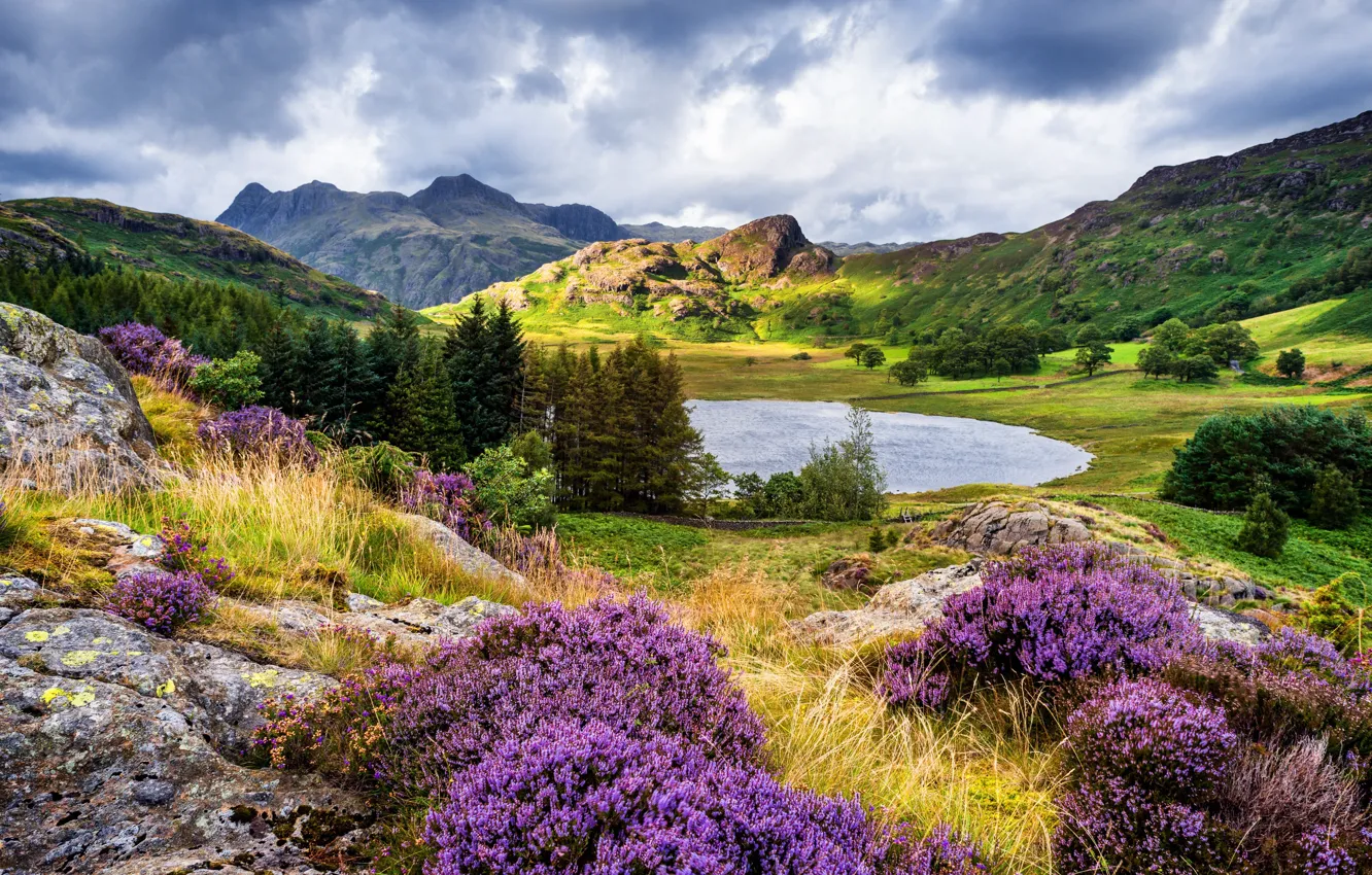 Photo wallpaper landscape, mountains, clouds, nature, lake, stones, vegetation, England