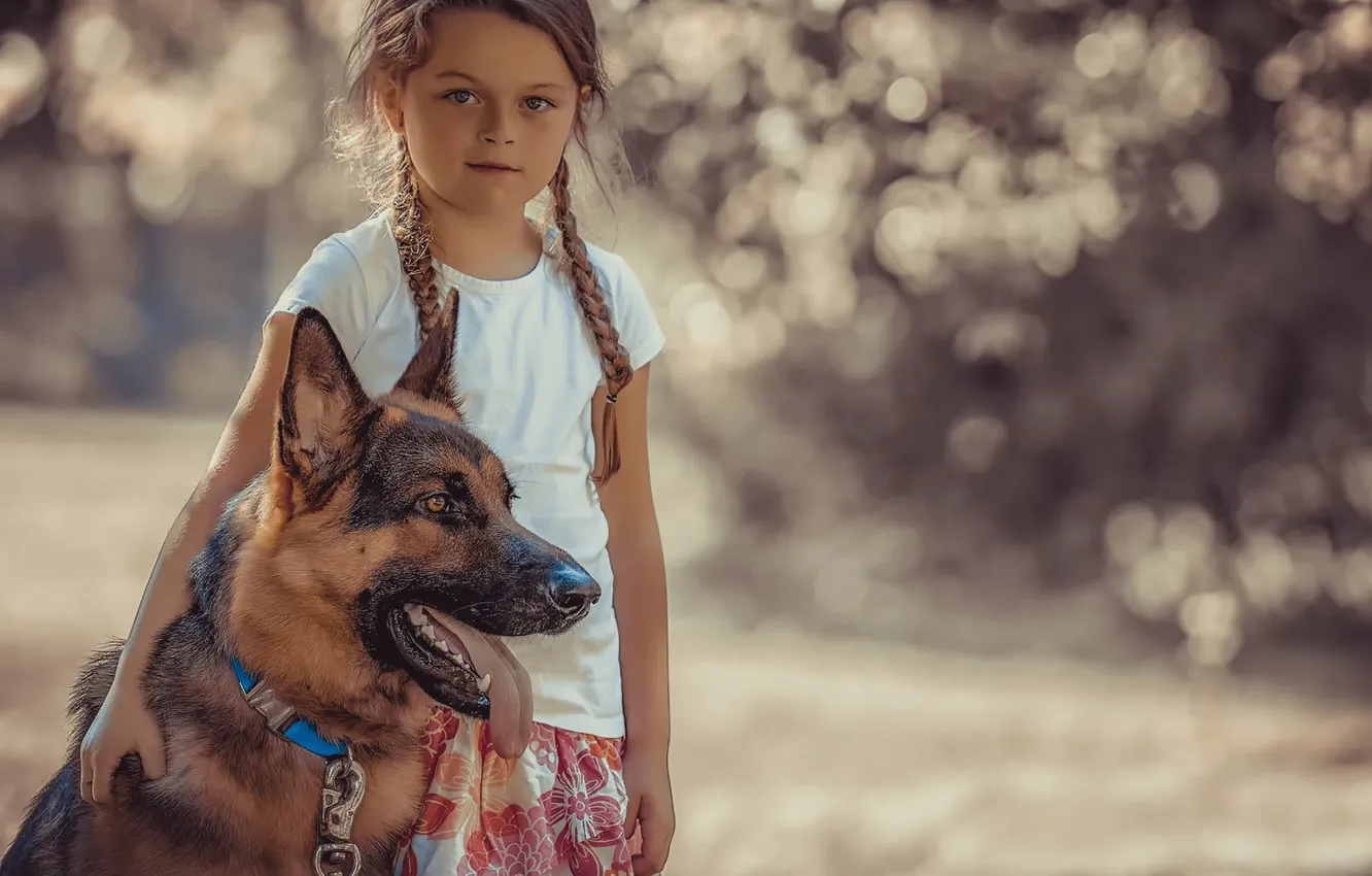 Photo wallpaper dog, girl, shepherd