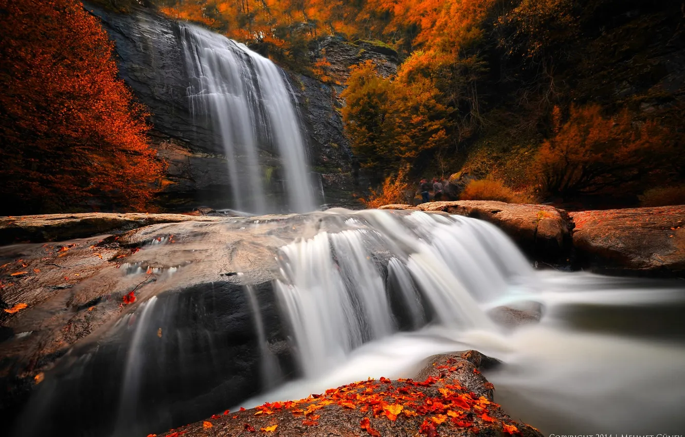 Photo wallpaper autumn, forest, trees, stones, waterfall, nature. river