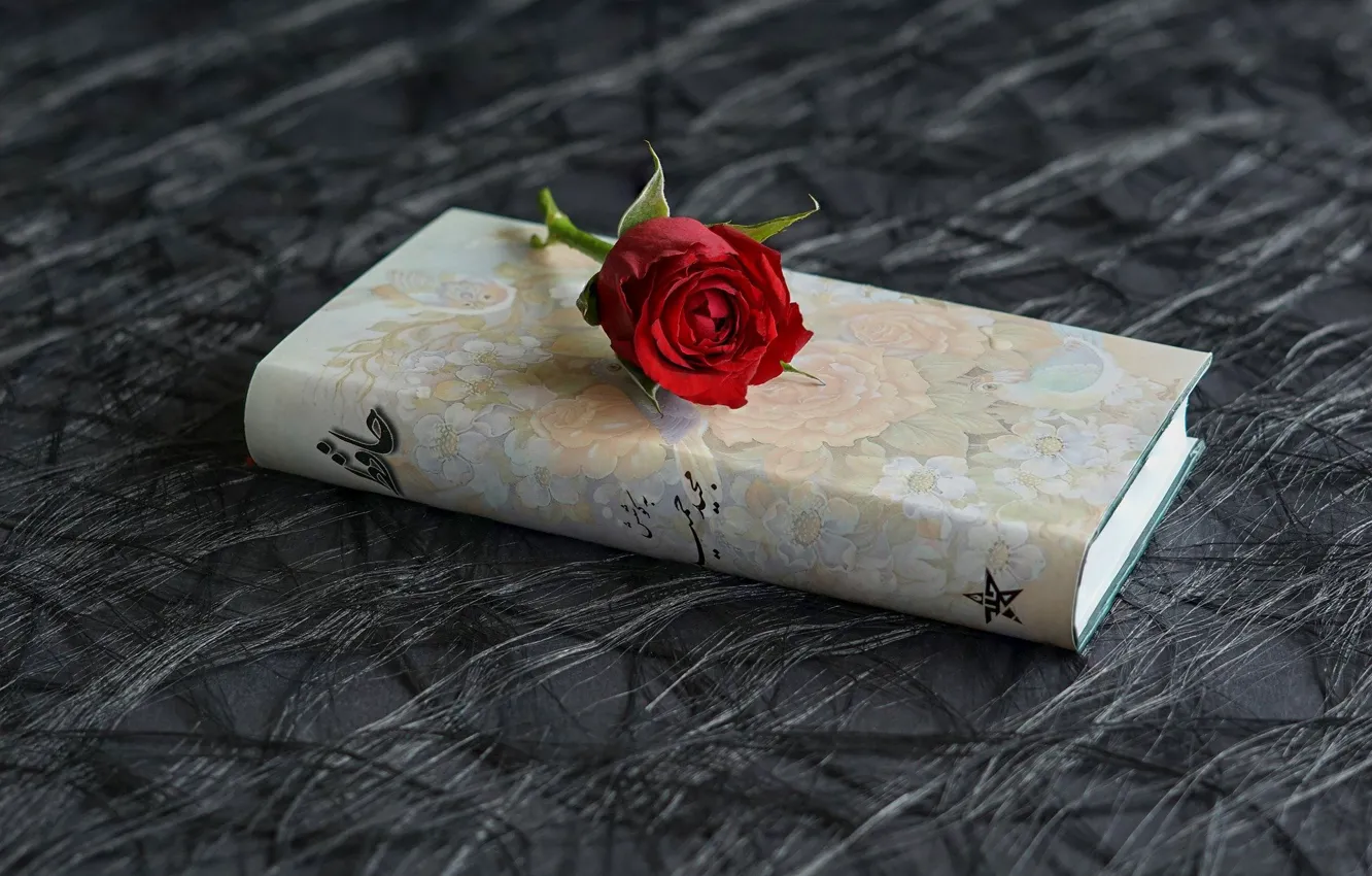Photo wallpaper flowers, roses, book