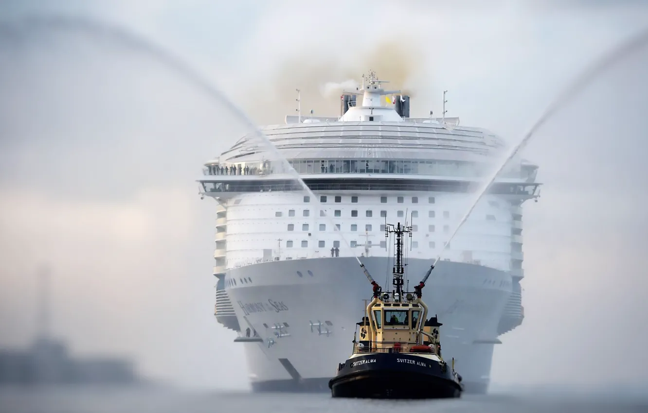 Photo wallpaper Liner, The ship, Nose, Technique, Royal Caribbean International, Tank, Passenger ship, Passenger liner