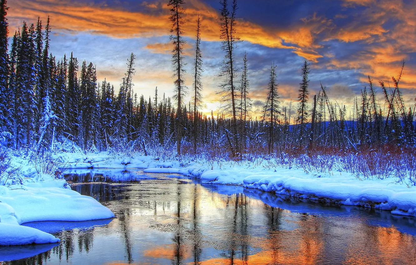 Photo wallpaper winter, forest, the sky, clouds, snow, trees, landscape, sunset