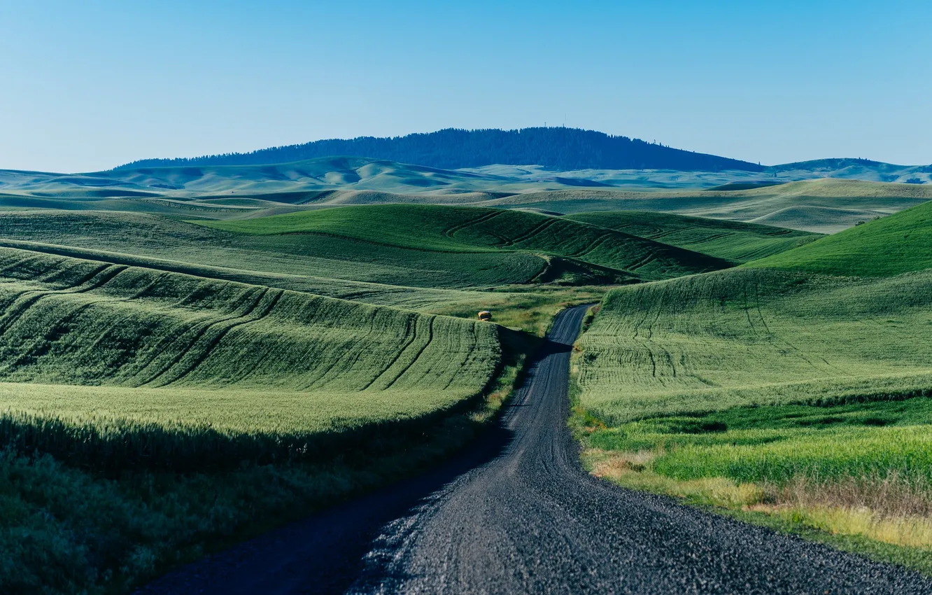 Photo wallpaper road, field, the sky, mountains, green, bus, farm