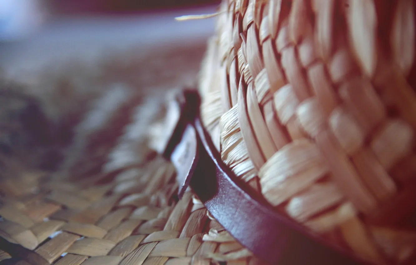 Photo wallpaper hat, strap, netting