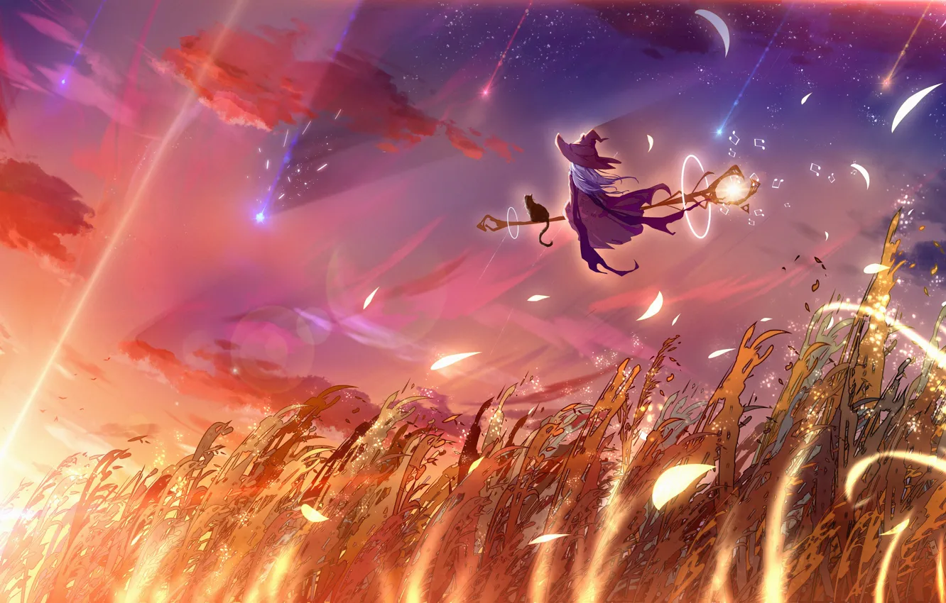 Photo wallpaper wheat, cat, the sky, girl, sunset, fantasy, staff, witch