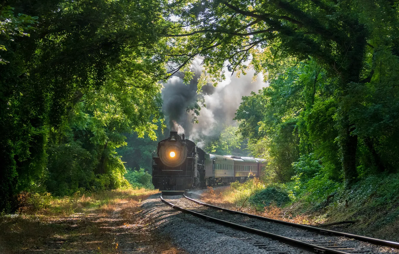 Photo wallpaper forest, trees, train, railroad, Tennessee, Chattanooga, Chattanooga, Tn